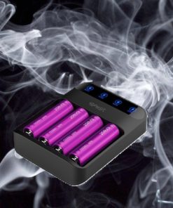 Efrst lush Q2 intelligent LED charger.