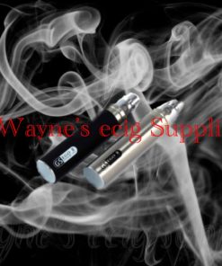 G S ego battery