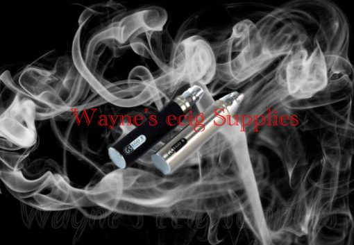 G S ego battery