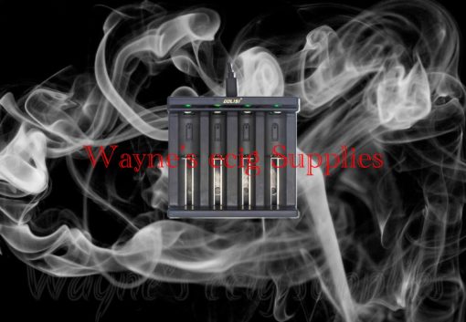 Golisi 4 bay charger